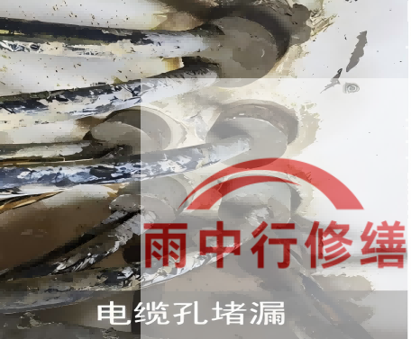 泰州电缆线空洞堵漏加固案例