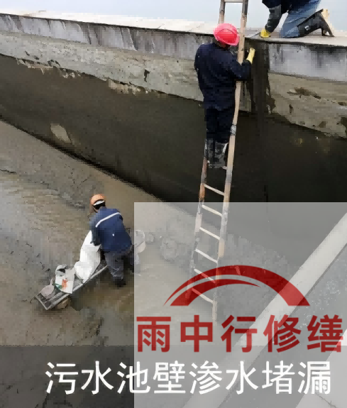 泰州2026年防水龙头半月两次涨价，行业格局重塑信号