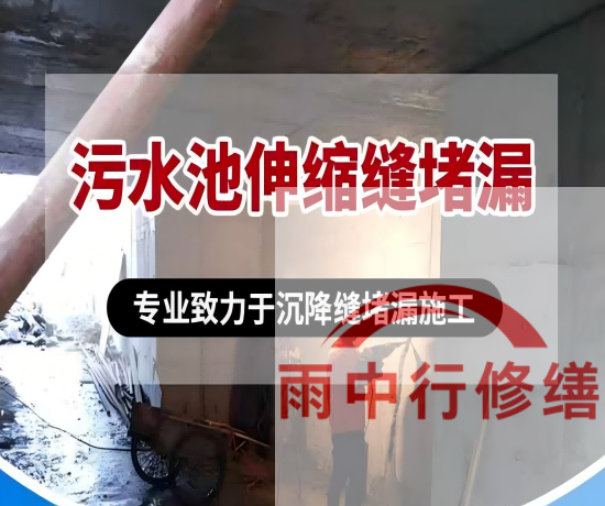 泰州某污水处理厂钢筋混凝土池堵漏案例