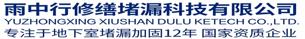 泰州雨中行科技防水堵漏工程有限公司